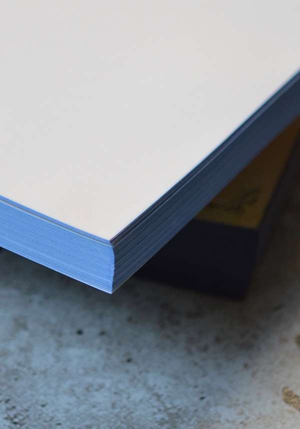 Rose & Lini SLOW DESIGN “LIBRI MUTI” LES FLEURS DU MAL Novità